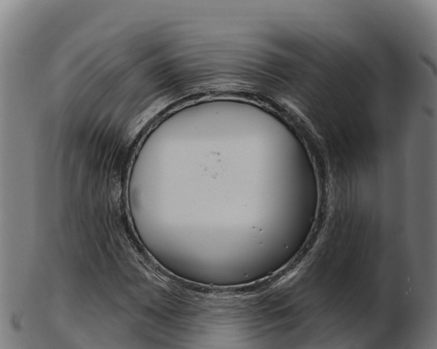 X0000103461065200809121052
