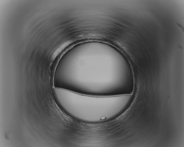 X0000103461066200809121052