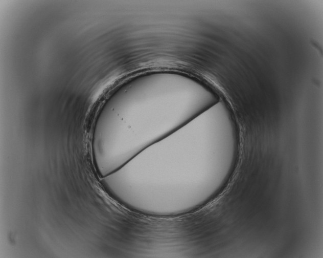 X0000103461067200809121052