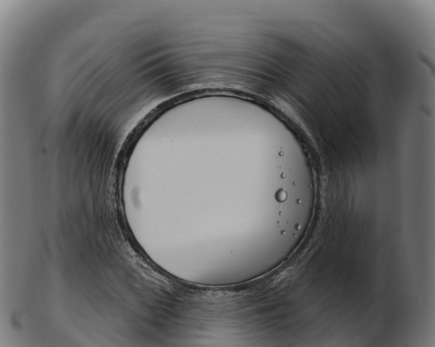 X0000103461068200809121052