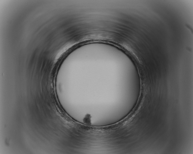 X0000103461070200809121052