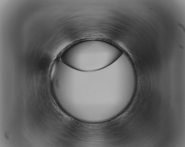 X0000103461071200809121052