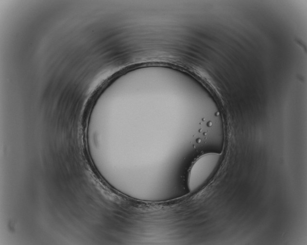 X0000103461072200809121052