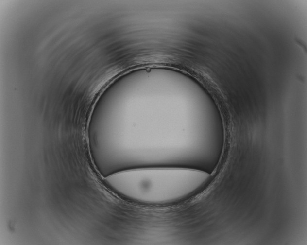 X0000103461073200809121052