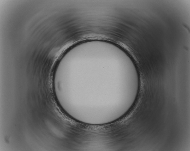 X0000103461074200809121052