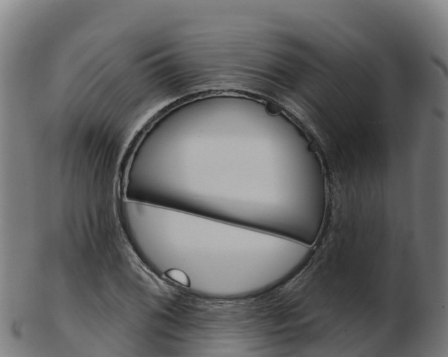 X0000103461076200809121052