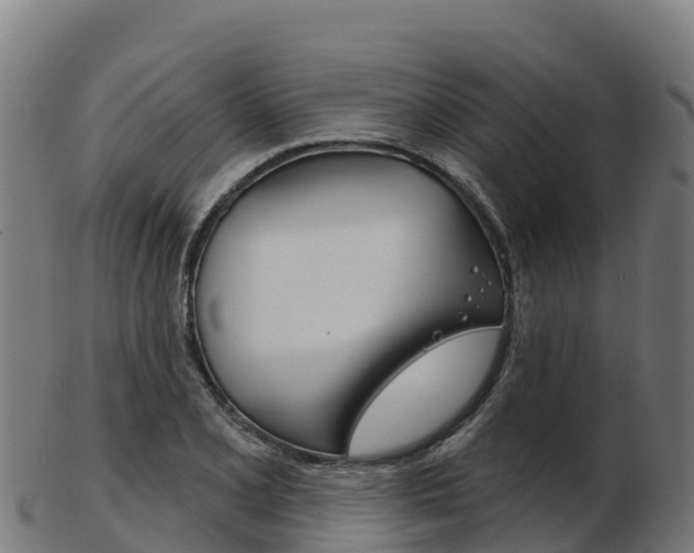 X0000103461077200809121052