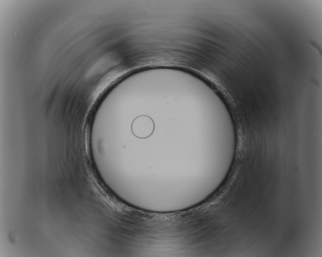 X0000103461078200809121052