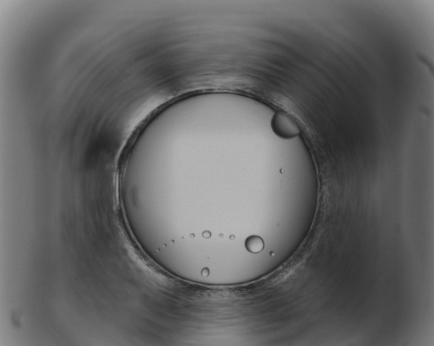 X0000103461079200809121052
