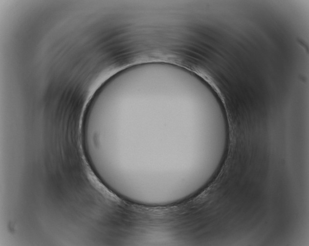 X0000103461080200809121052
