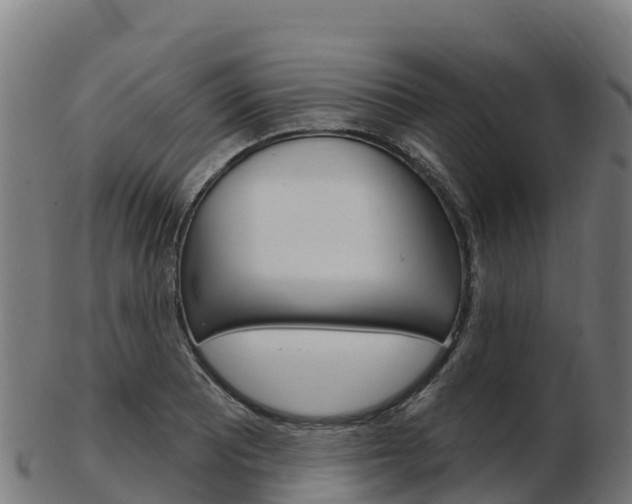 X0000103461081200809121052