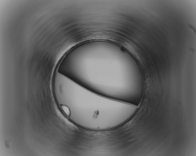X0000103461084200809121052
