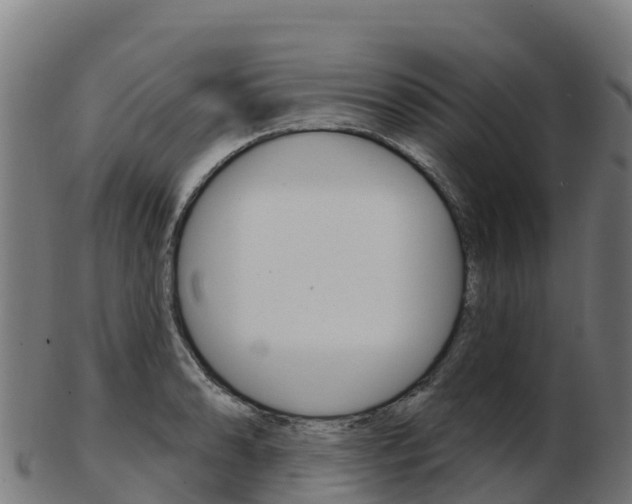 X0000103461086200809121052
