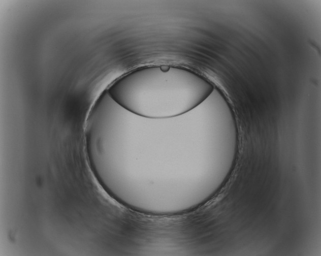 X0000103461087200809121052