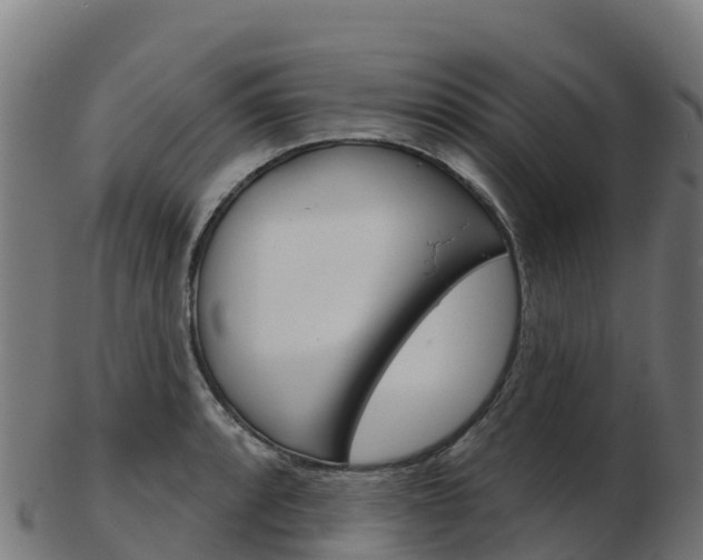 X0000103461088200809121052
