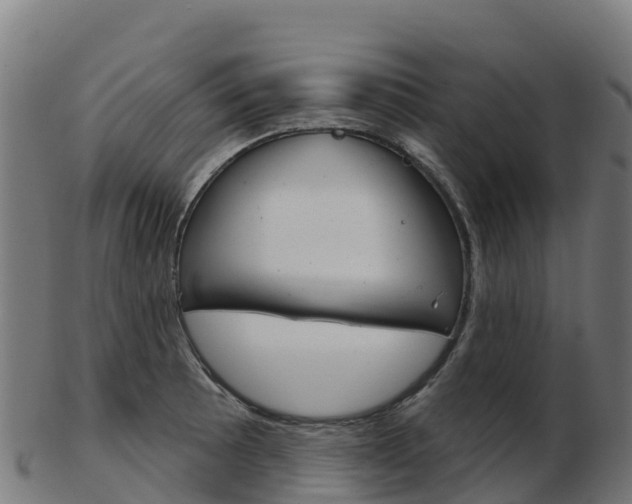 X0000103461089200809121052