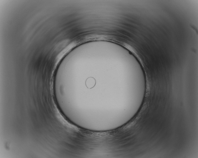 X0000103461090200809121052