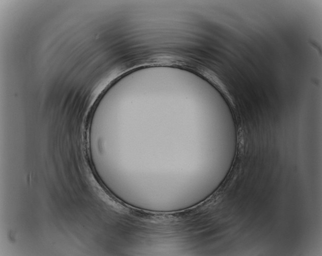 X0000103461091200809121052