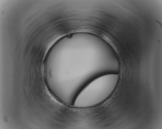 X0000103461092200809121052