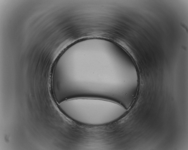 X0000103461093200809121052
