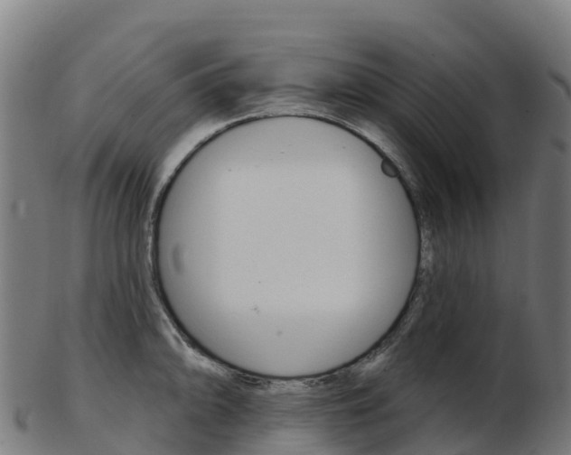 X0000103461094200809121052