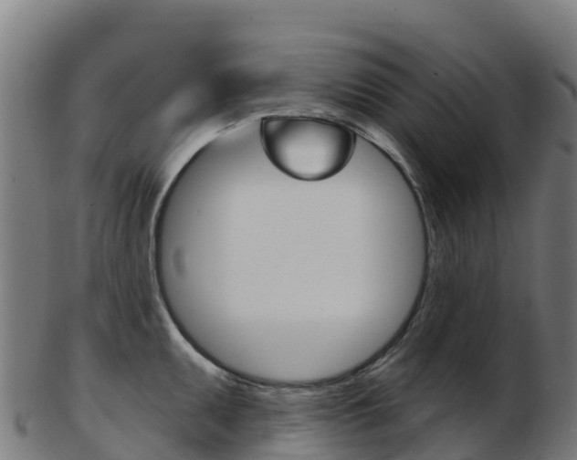 X0000103461095200809121052