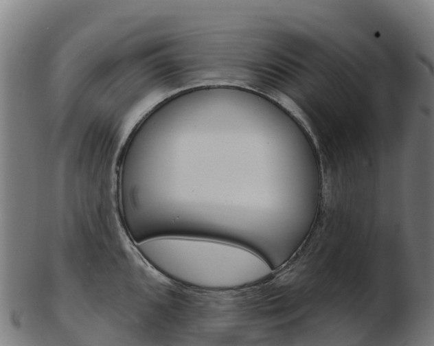 X0000103461096200809121052