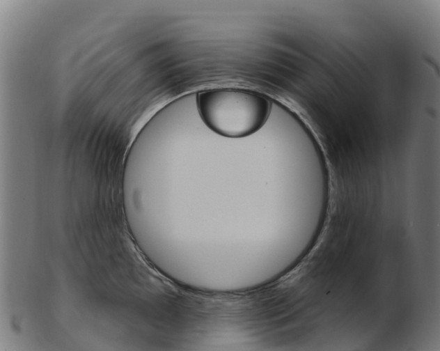 X0000103461097200809121052