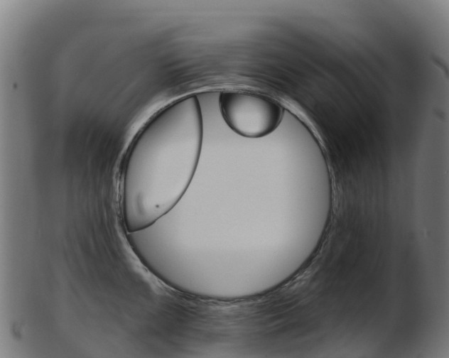 X0000103461099200809121052
