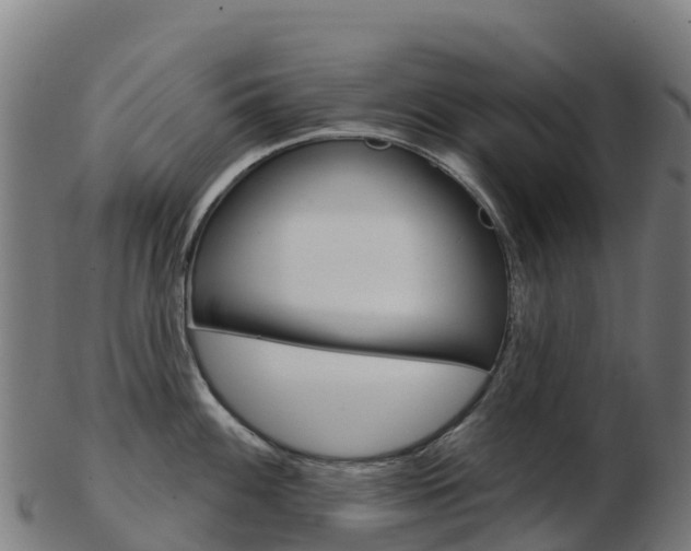 X0000103461100200809121052