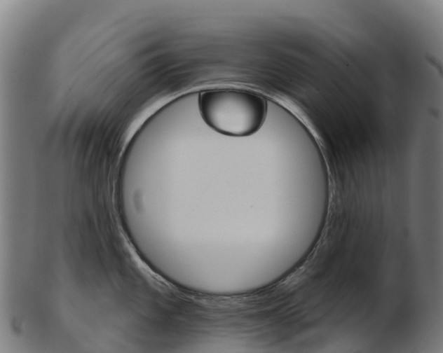 X0000103461101200809121052