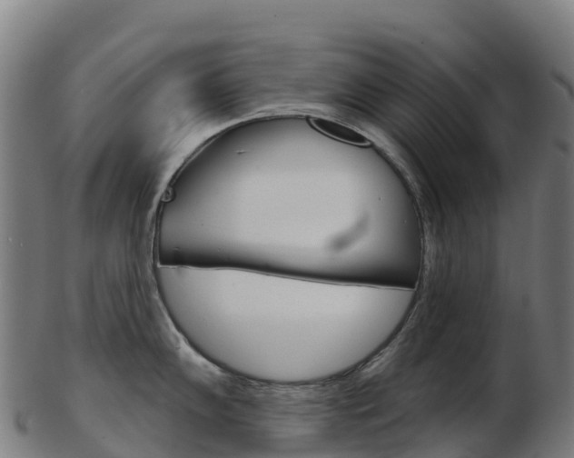 X0000103461102200809121052