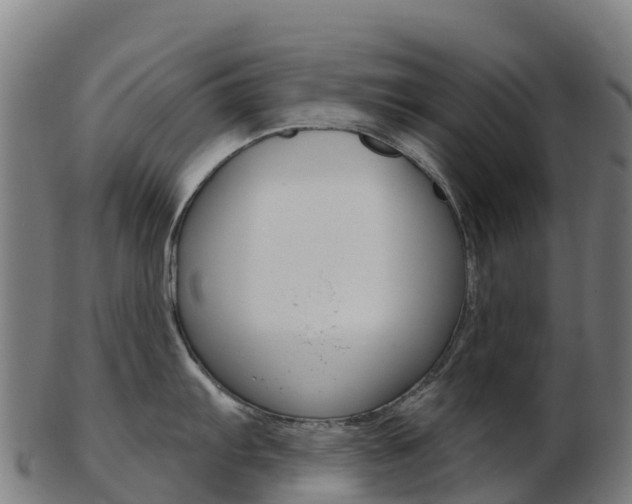 X0000103461103200809121052