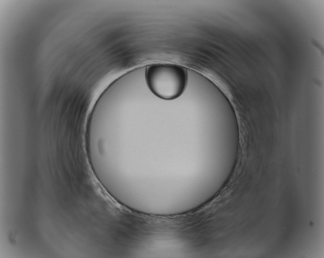 X0000103461104200809121052