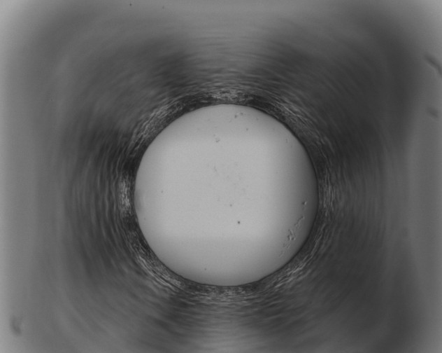 X0000103461106200809121051