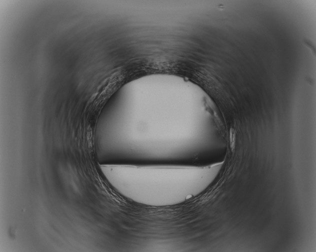 X0000103461107200809121051