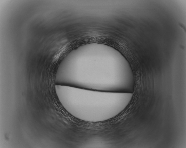 X0000103461109200809121051