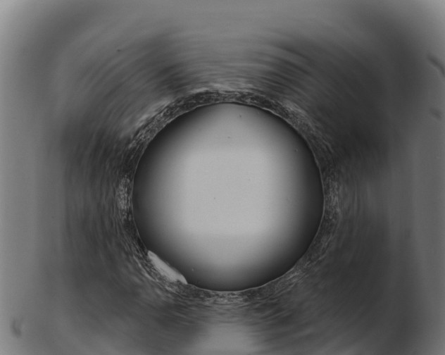 X0000103461110200809121051
