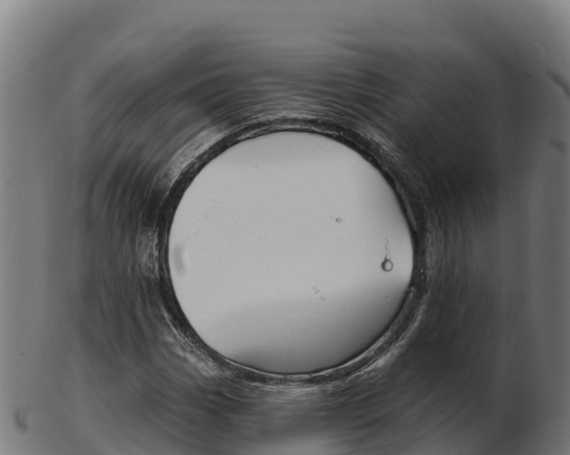 X0000103461113200809121051