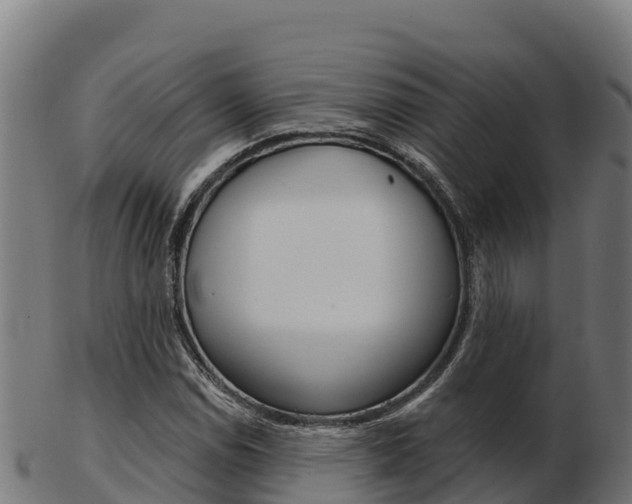 X0000103461114200809121051