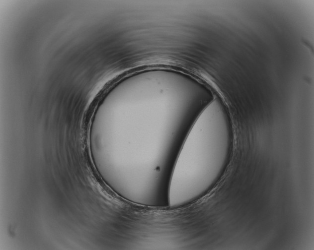 X0000103461116200809121051