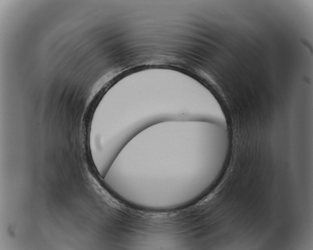 X0000103461122200809121051