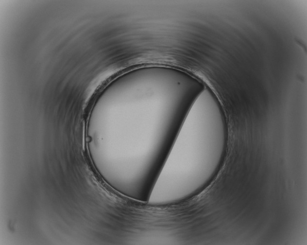 X0000103461123200809121051