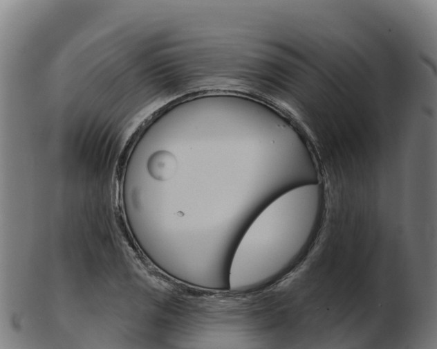 X0000103461125200809121051