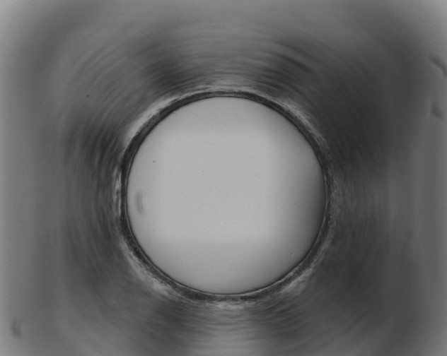 X0000103461126200809121051