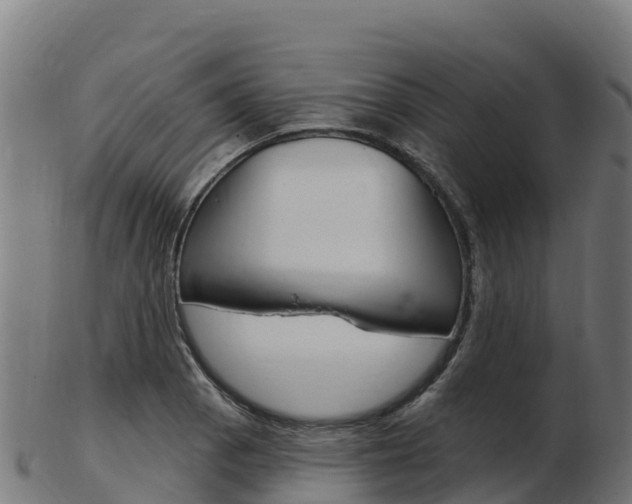 X0000103461129200809121051