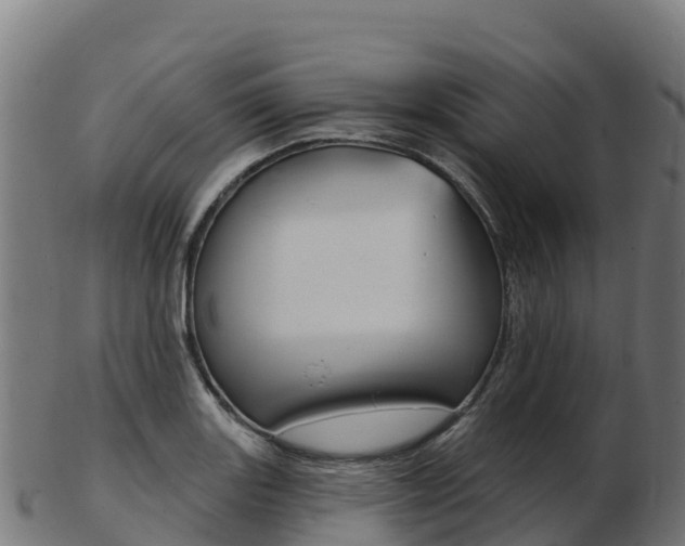 X0000103461131200809121051