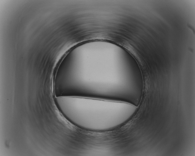 X0000103461132200809121051