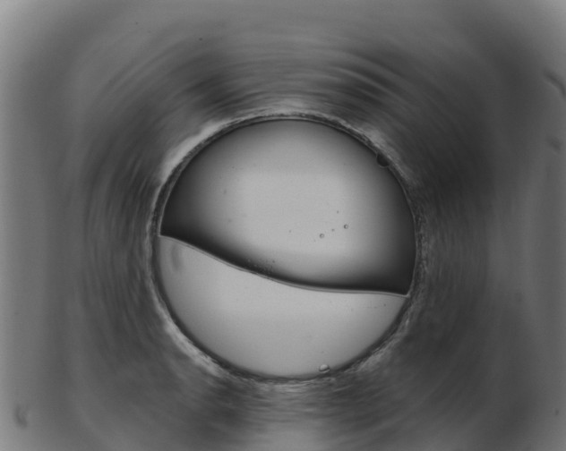 X0000103461134200809121051