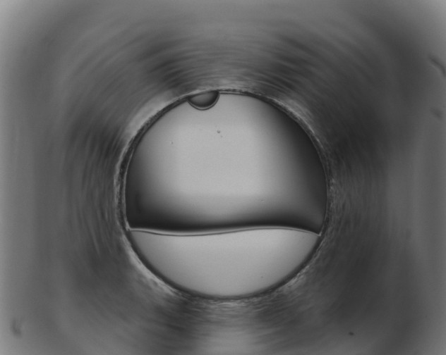 X0000103461135200809121051